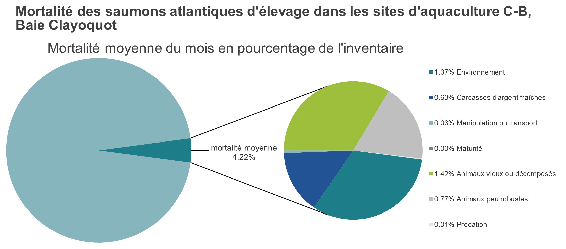 Mortalité des saumons atlantiques d'élevage dans les sites d'aquaculture C-B, Baie Clayoquot