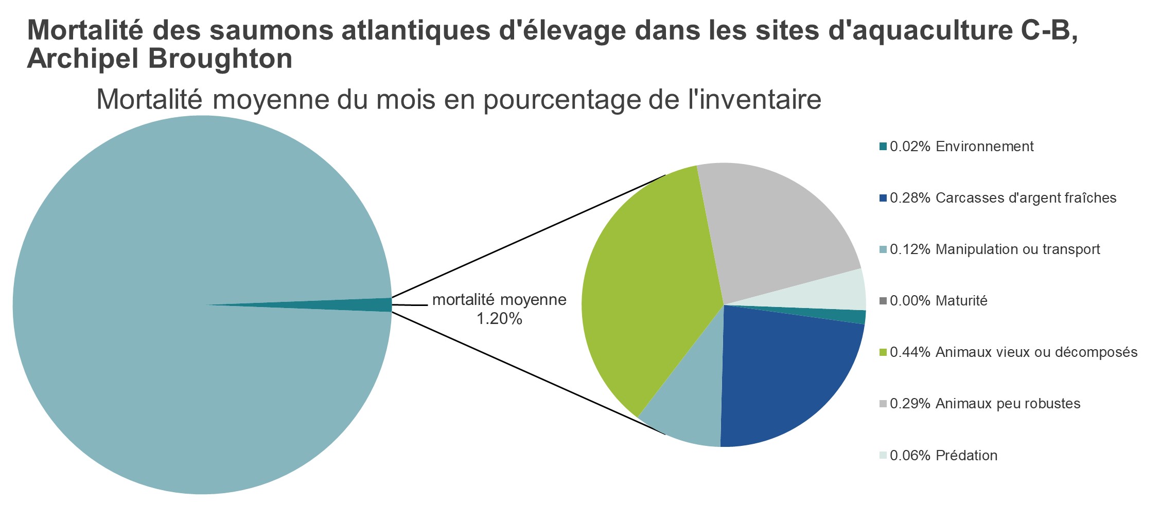 Mortalité des saumons atlantiques d'élevage dans les sites d'aquaculture C-B, Baie Clayoquot