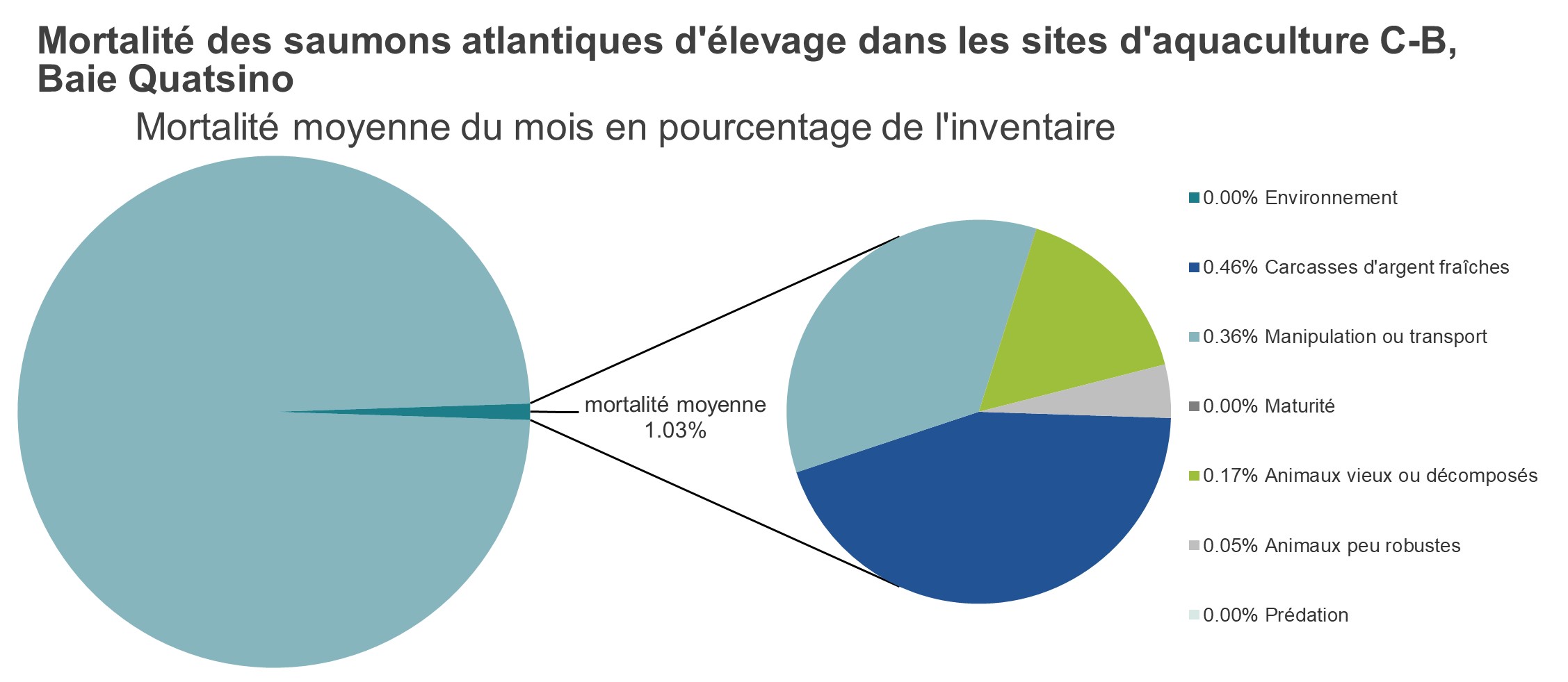 Mortalité des saumons atlantiques d'élevage dans les sites d'aquaculture C-B, Baie Quatsino