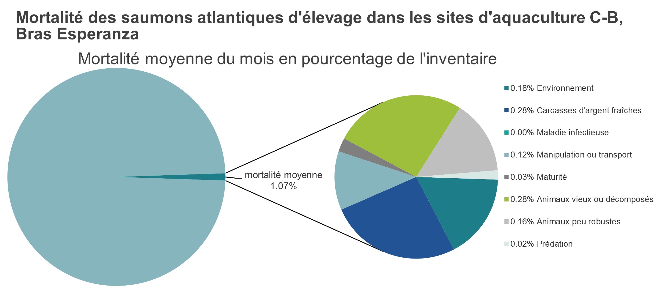 Mortalité des saumons atlantiques d'élevage dans les sites d'aquaculture C-B, Bras Esperanza