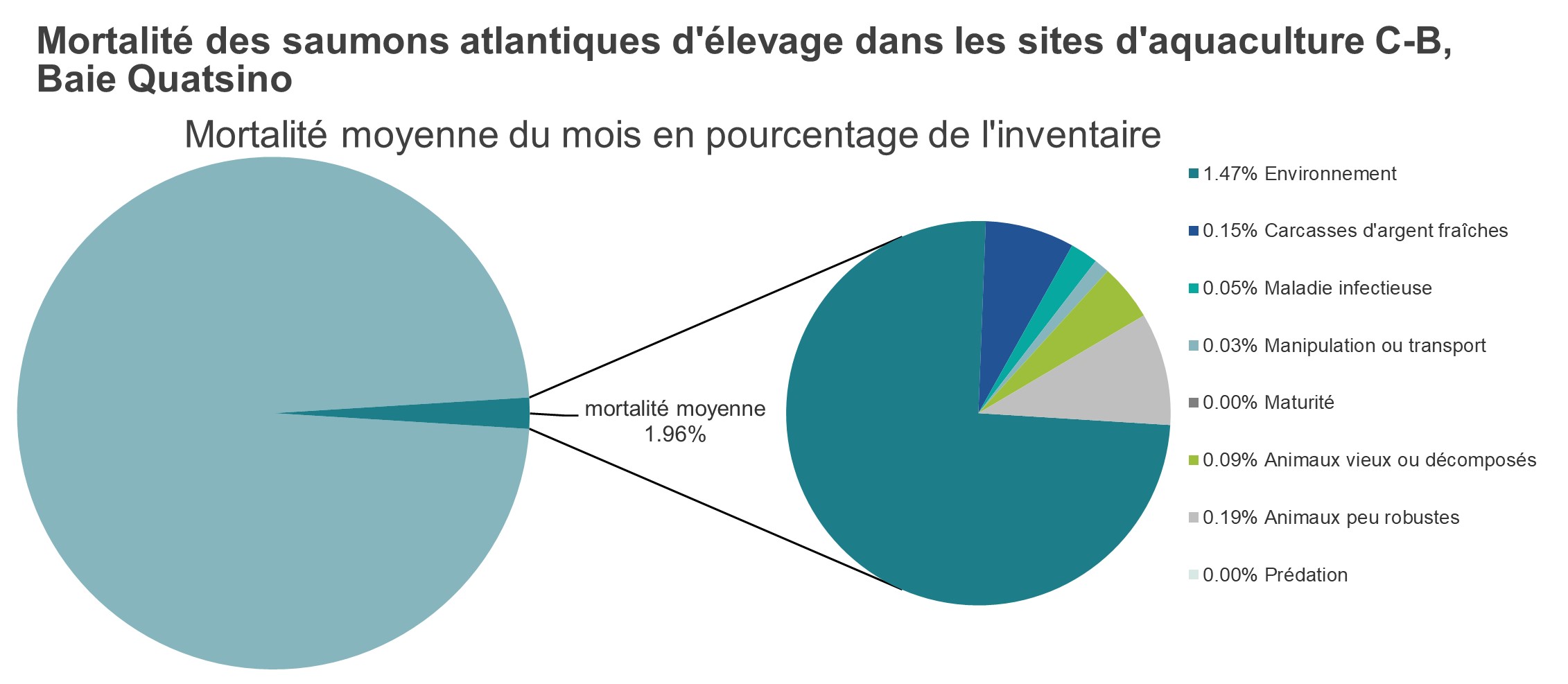 Mortalité des saumons atlantiques d'élevage dans les sites d'aquaculture C-B, Baie Quatsino