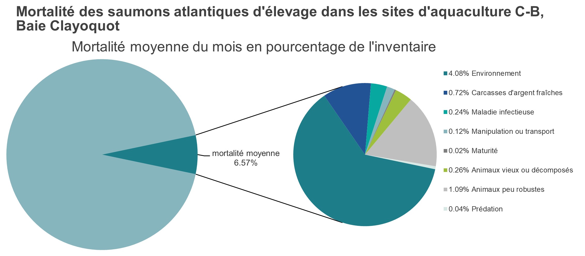 Mortalité des saumons atlantiques d'élevage dans les sites d'aquaculture C-B, Baie Clayoquot