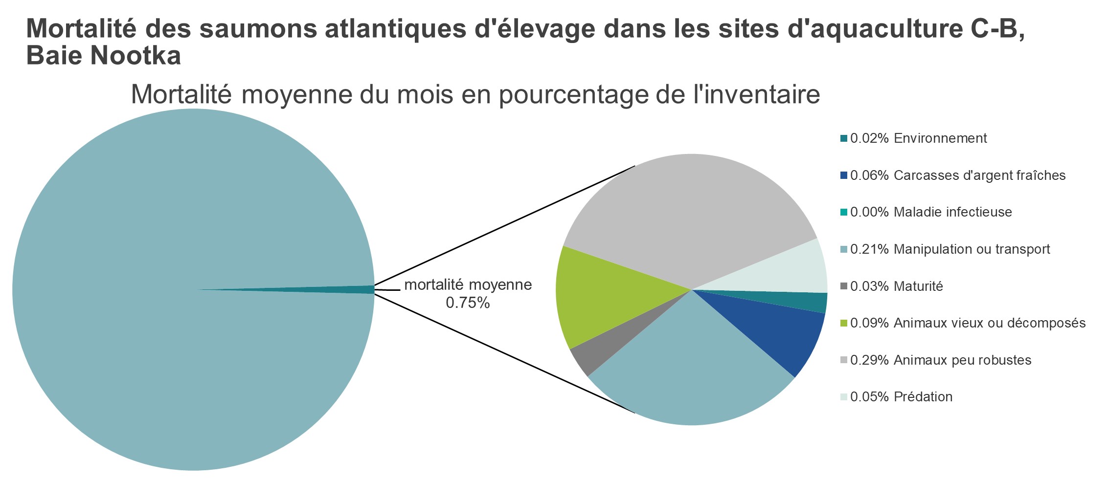 Mortalité des saumons atlantiques d'élevage dans les sites d'aquaculture C-B, Baie Nootka