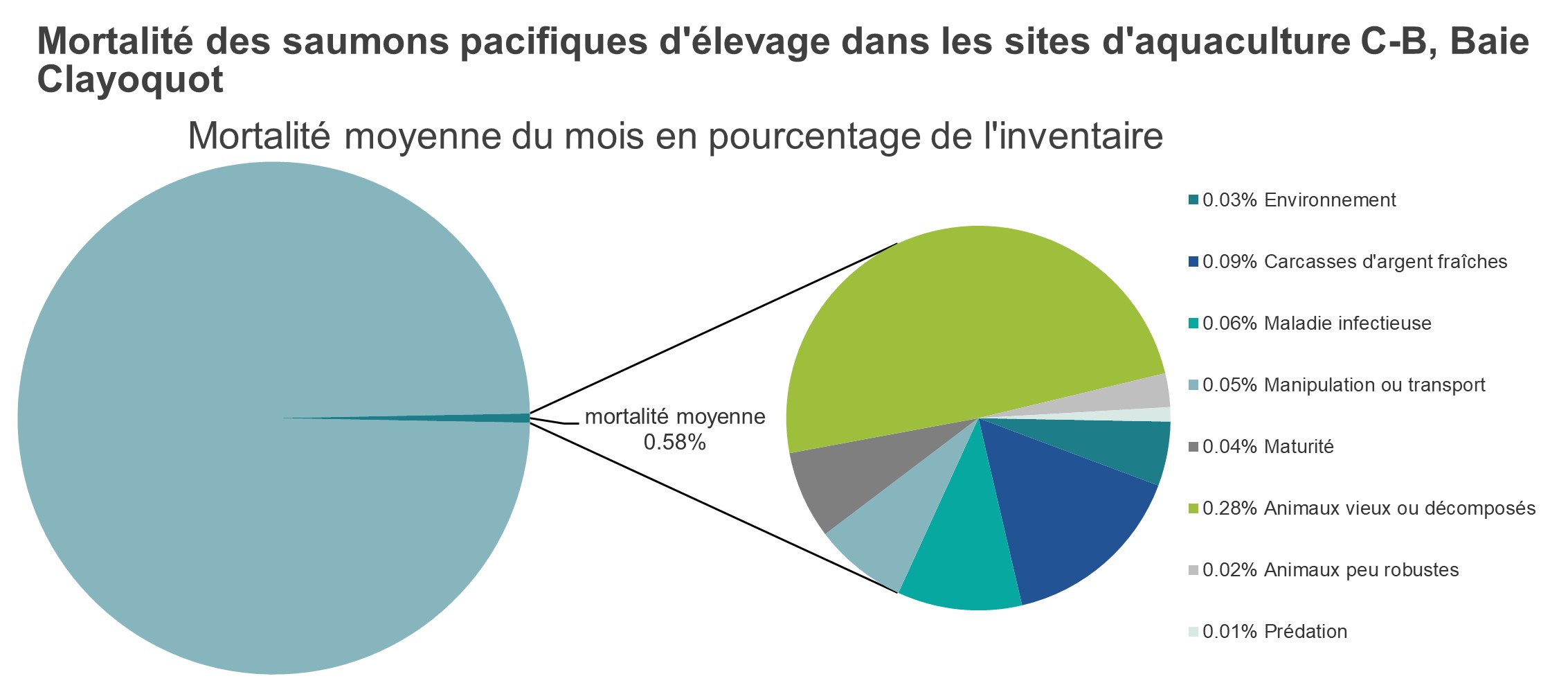 Mortalité des saumons pacifiques d'élevage dans les sites d'aquaculture C-B, Baie Clayoquot