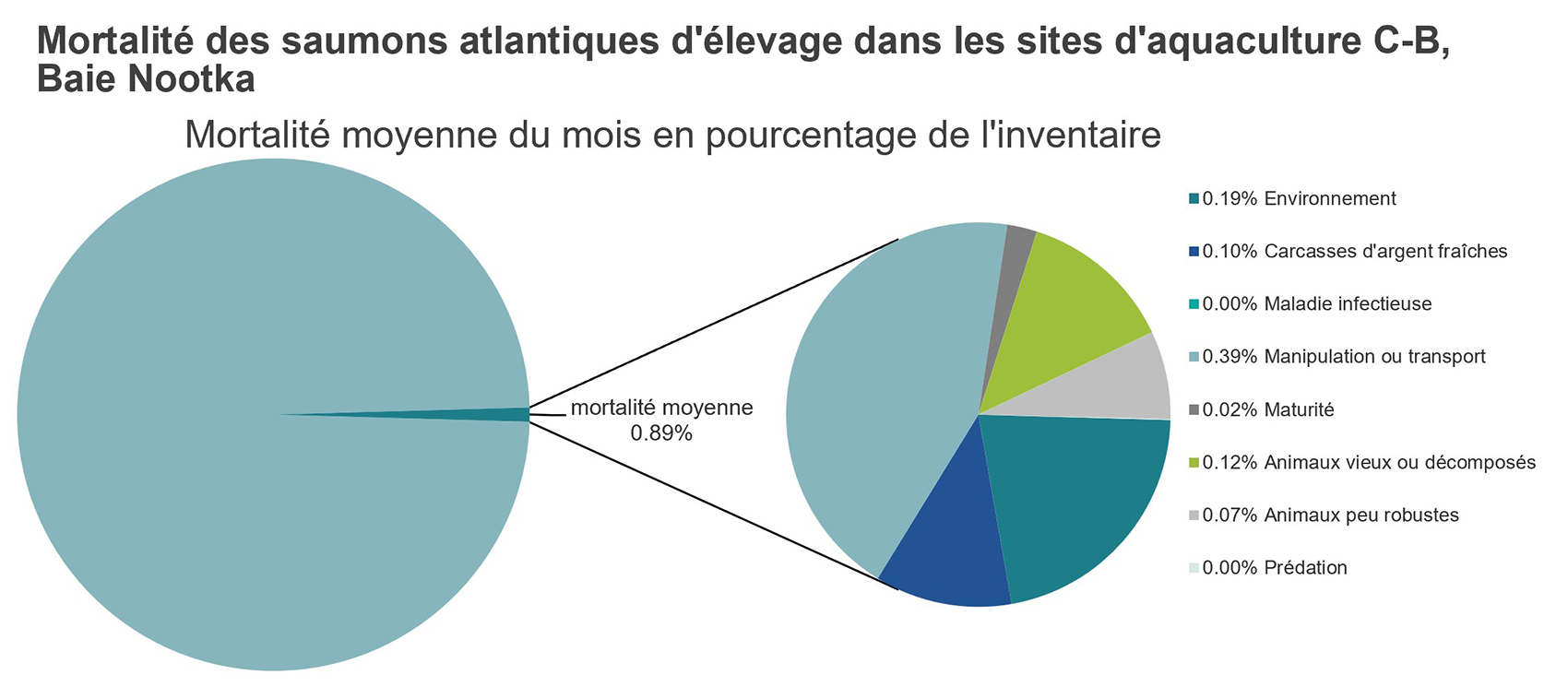 Mortalité des saumons atlantiques d'élevage dans les sites d'aquaculture C-B, Baie Nootka