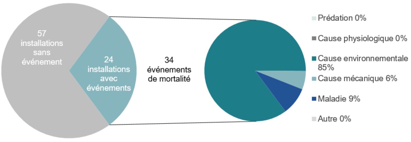 Graphique : Événements de mortalité aux sites de mariculture de poissons de la Colombie-Britannique, 2016