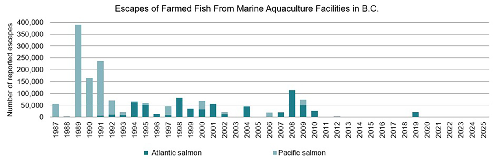 Graph: Escapes of farmed fish from marine aquaculture facilities in British Columbia, 1987-2025
