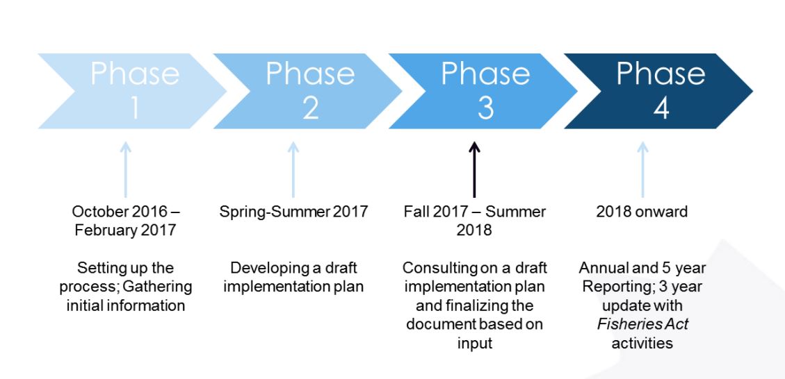 Phases of the WSP Implementation Plan