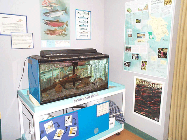 photo small aquarium
