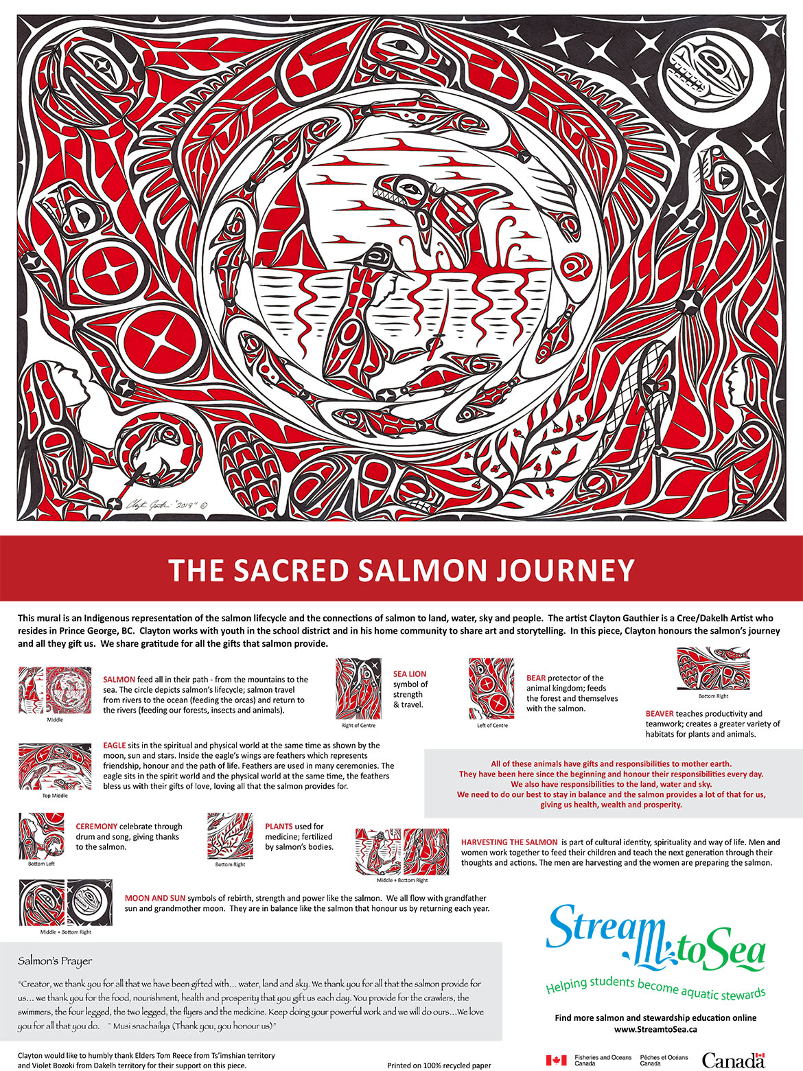 Infographic: The sacred salmon journey