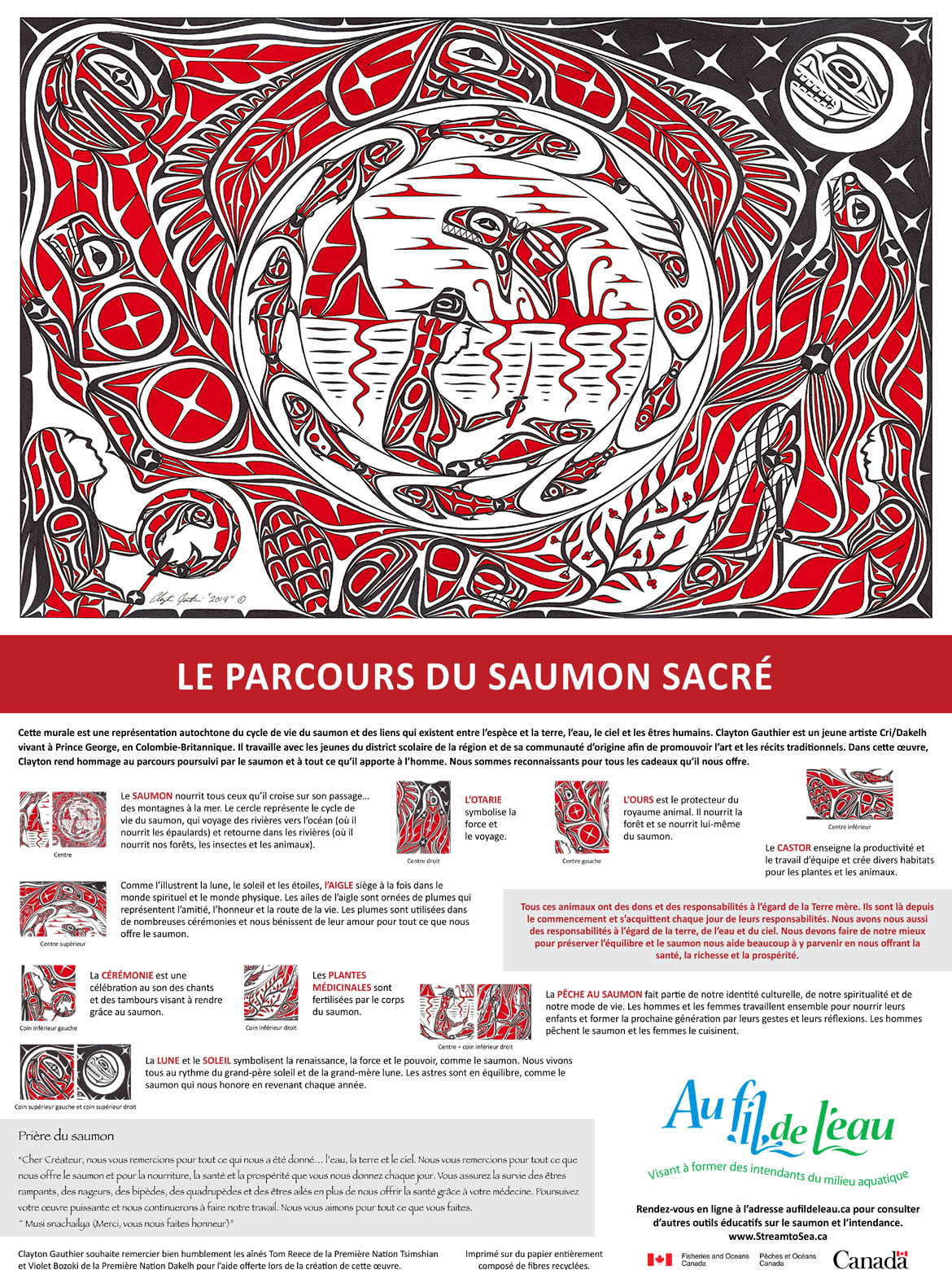 Infographie : Le parcours du saumon sacré
