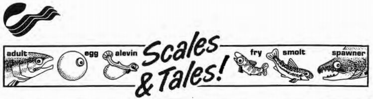 Banner of the cover page of 'Scales and Tales'