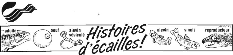 Histoires d'écailles!'