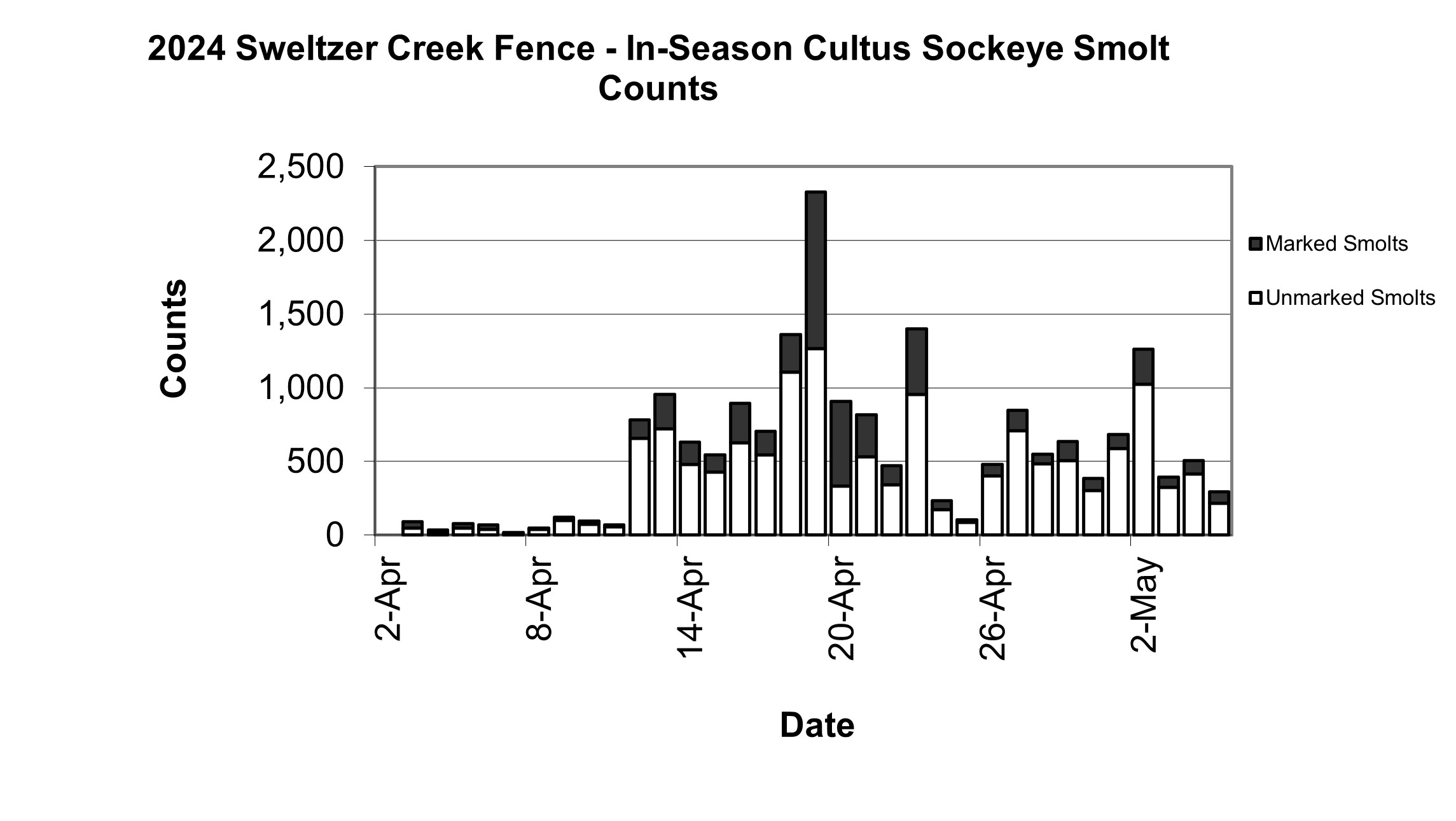 Graph: In-season Cultus sockeye smolt counts at Sweltzer Creek fence 2024