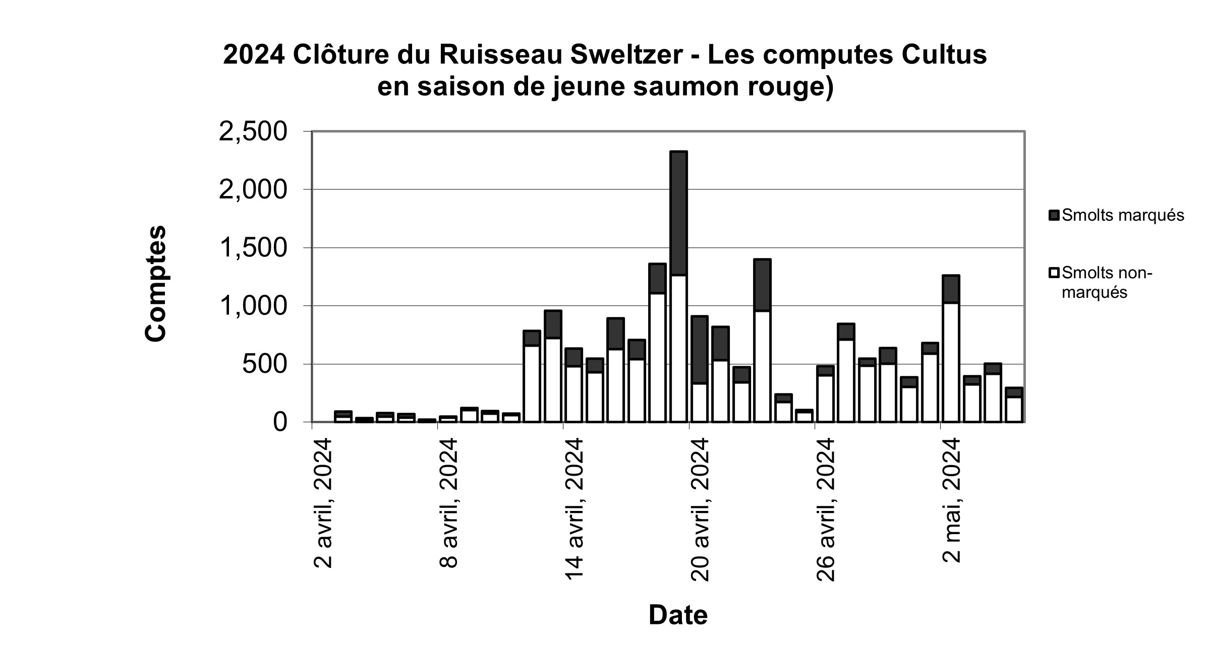 Graph: In-season Cultus sockeye smolt counts at Sweltzer Creek fence 2023