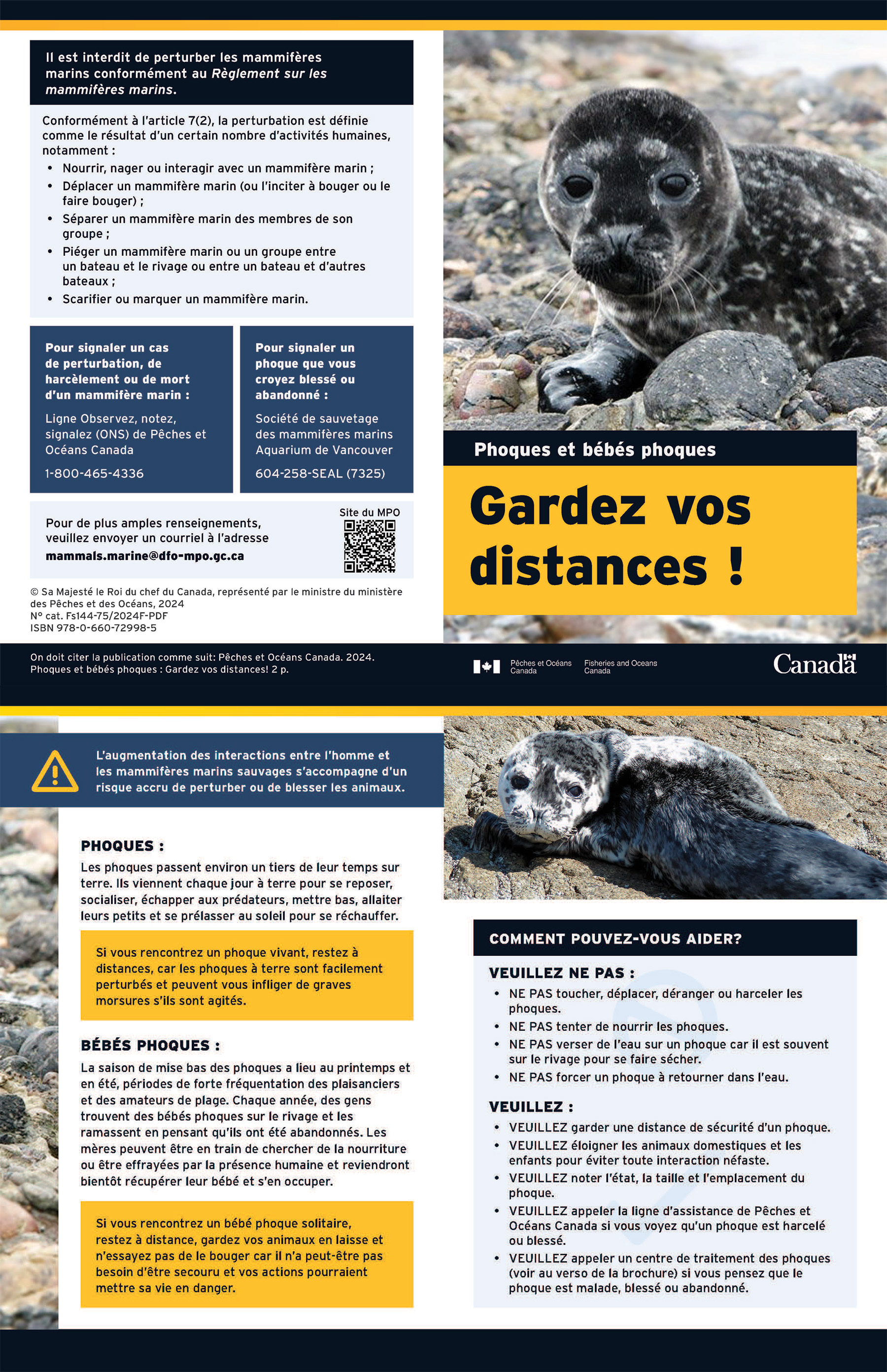 Brochure : Phoques et bébés phoques : Gardez vos distances !