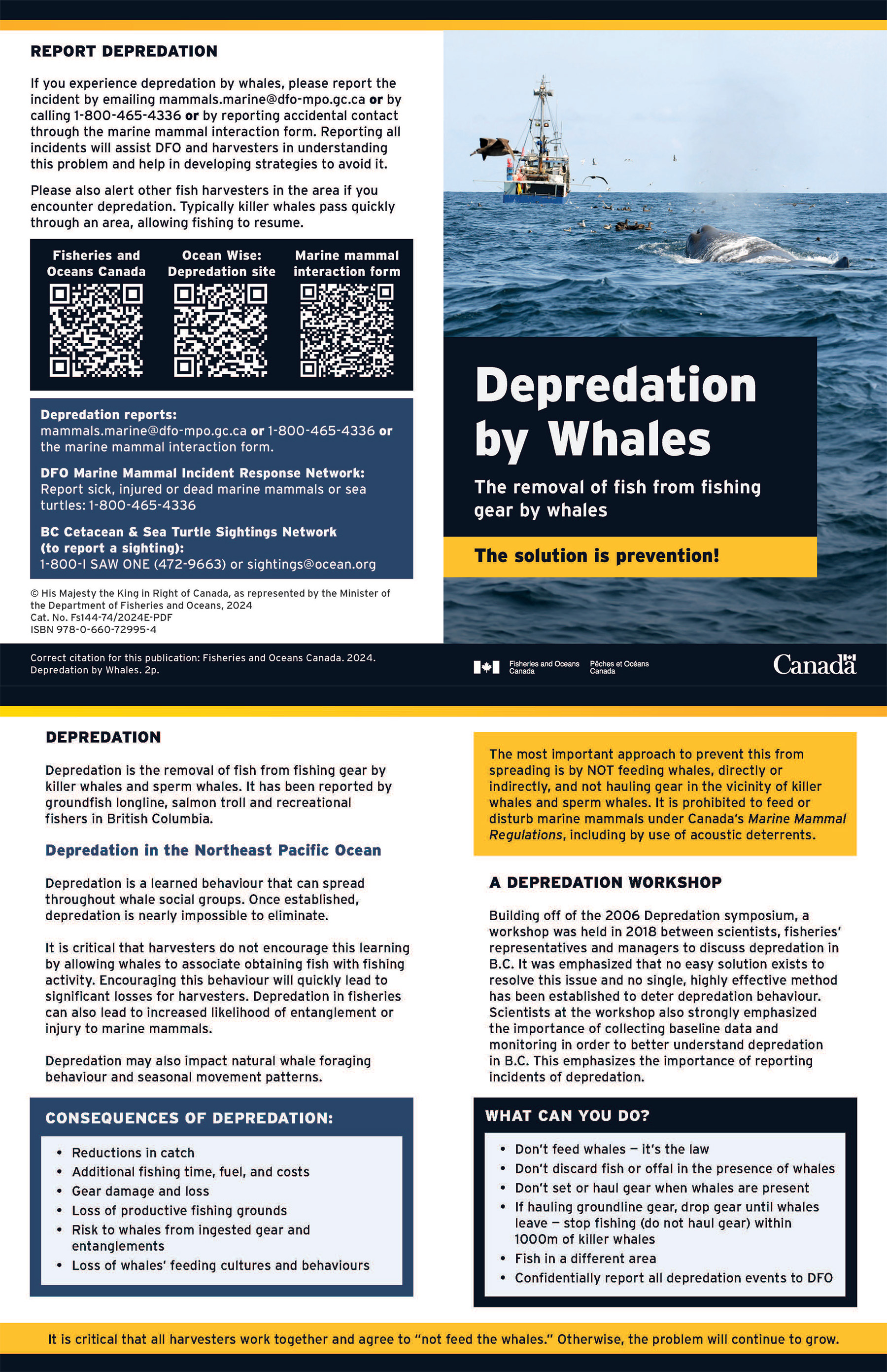 Brochure: Depredation by whales