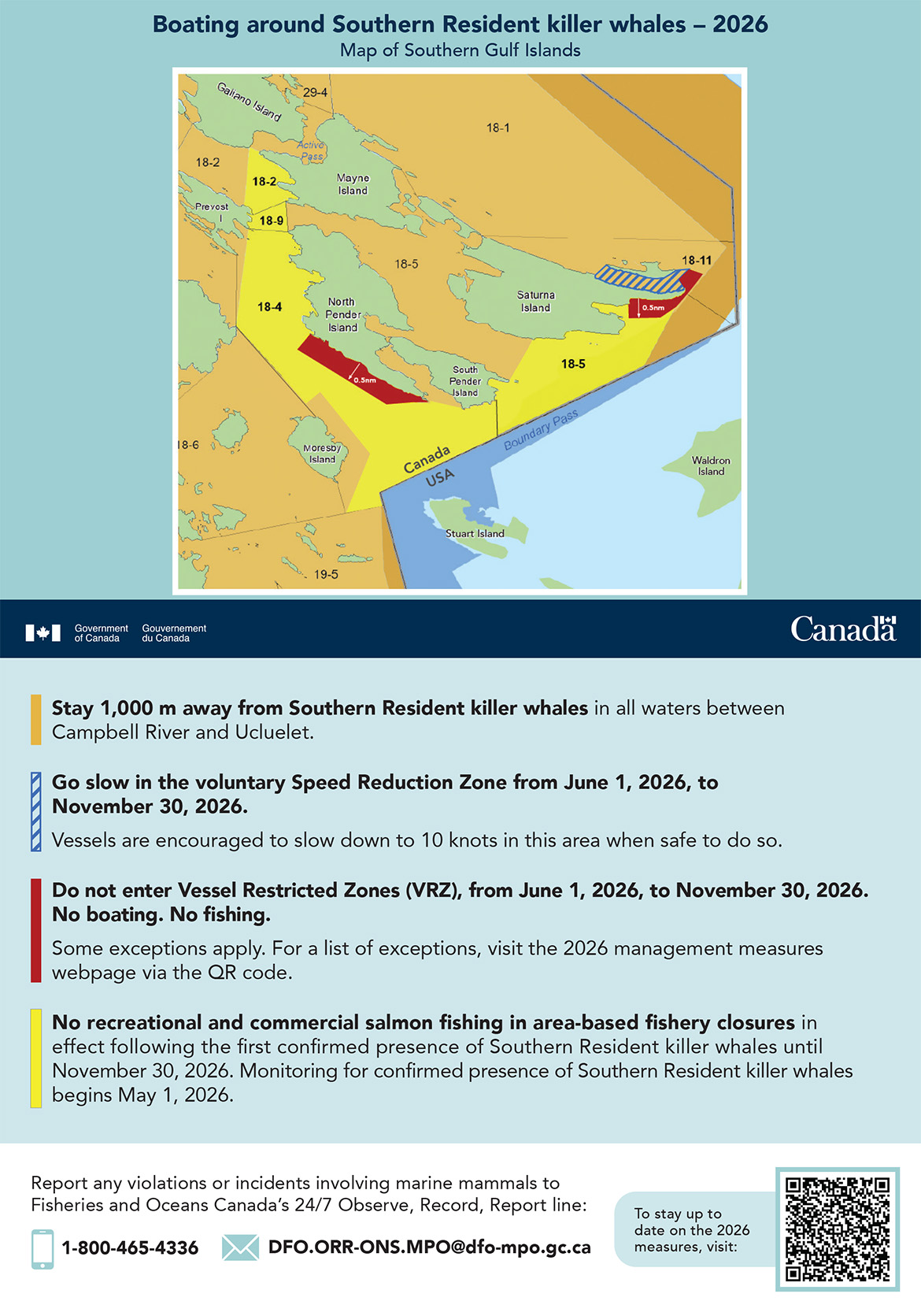 Postcard: Boating around killer whales – 2026