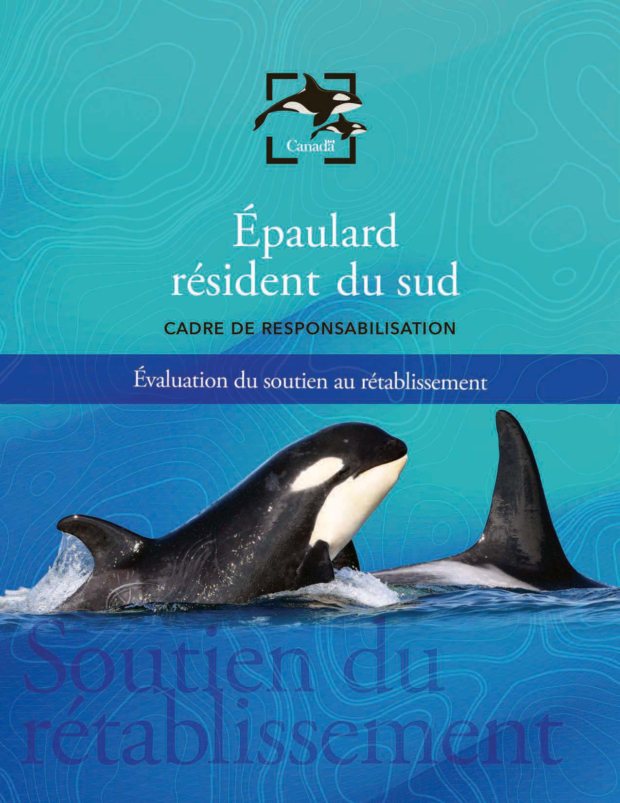Épaulard résident du sud cadre de responsabilisation : évaluation du soutien au rétablissement, 2021