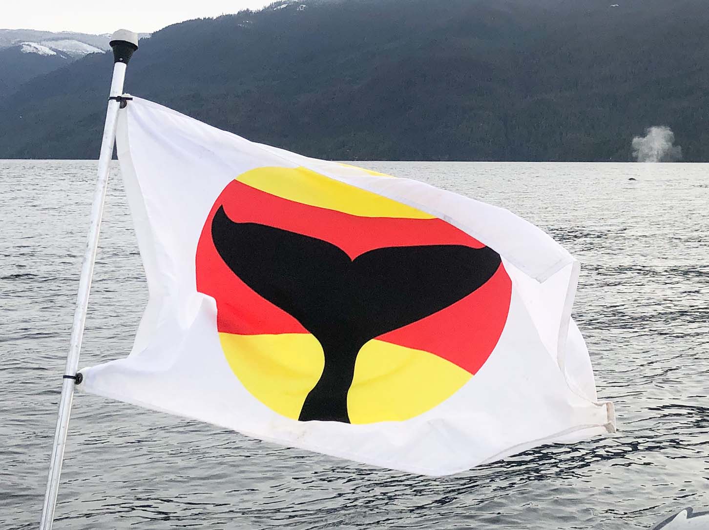 Photo: Whale Warning Flag