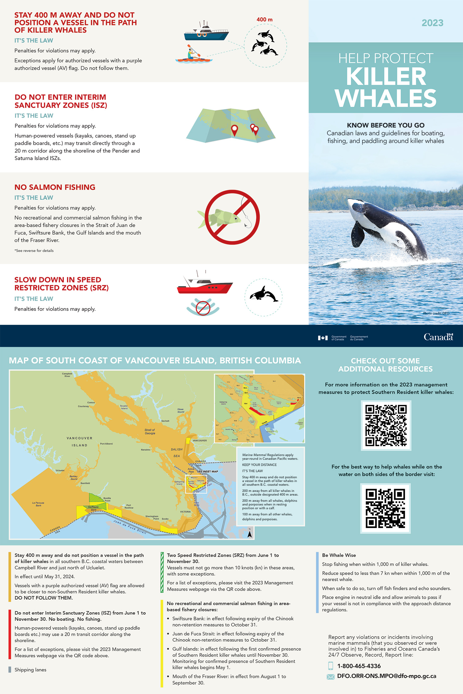 Infographic: Help protect killer whales