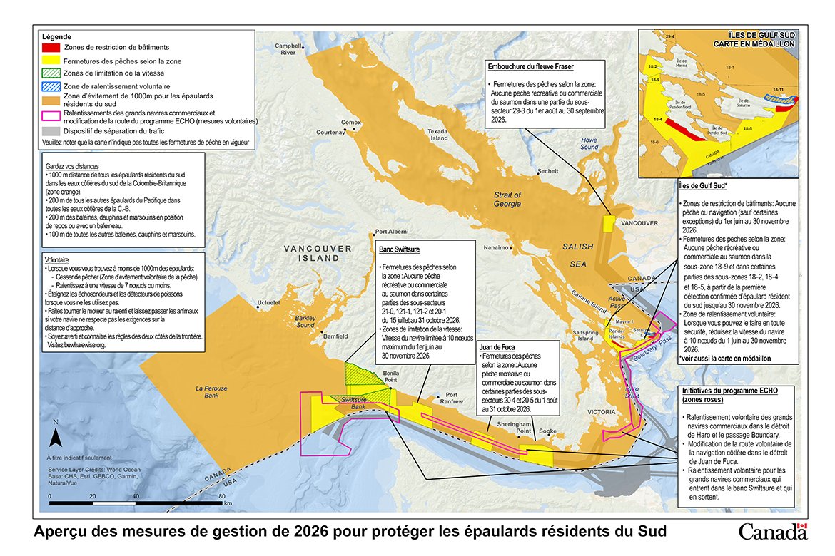 Mesures de gestion afin de protéger les épaulards résidents du Sud