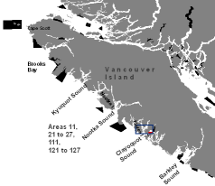 RCA inset map Saranac Island