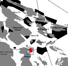 RCA inset map Coal Island 