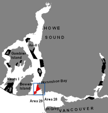 Carte - Île Passage