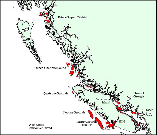 Fig. 1. Major shrimp production areas in British Columbia, Pacific Coast (highlighted areas).