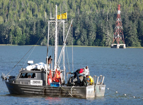 Photo: Tyee Test Fishery Credit: Dave Rolston