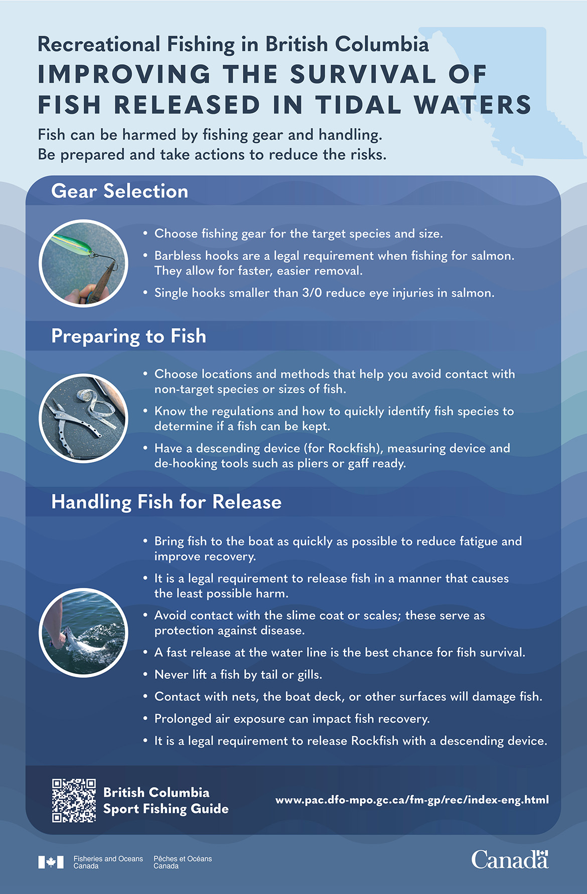 Improving the survival of fish released in tidal waters
