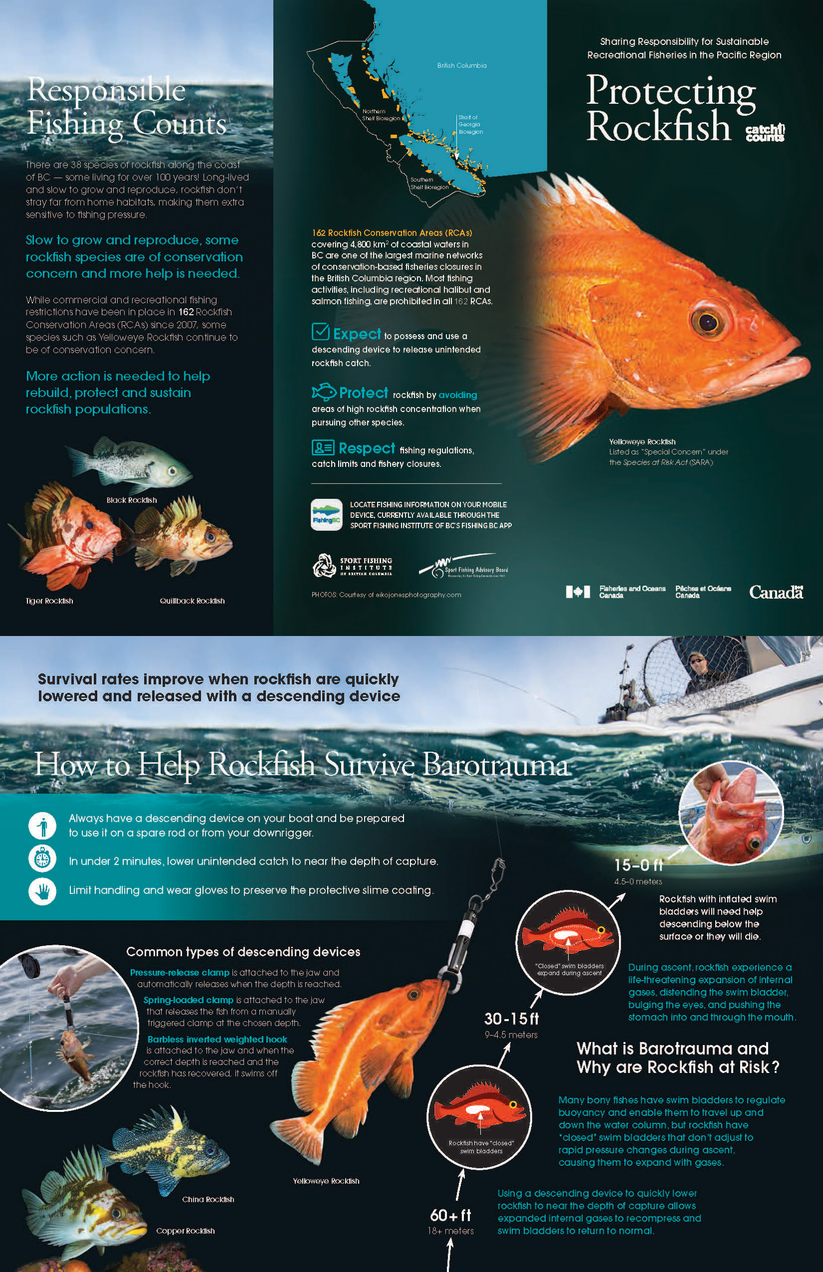 Brochure: Protecting rockfish