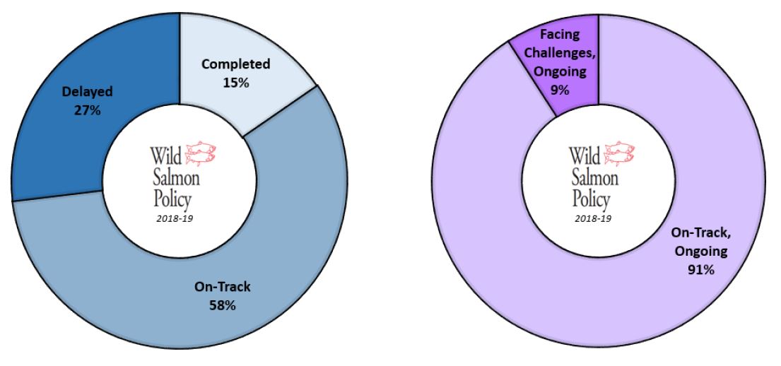 pie charts showing ontrack and ongoing activities