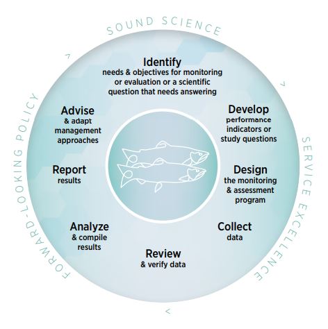 Photo: Chart graphic on science, policy and service