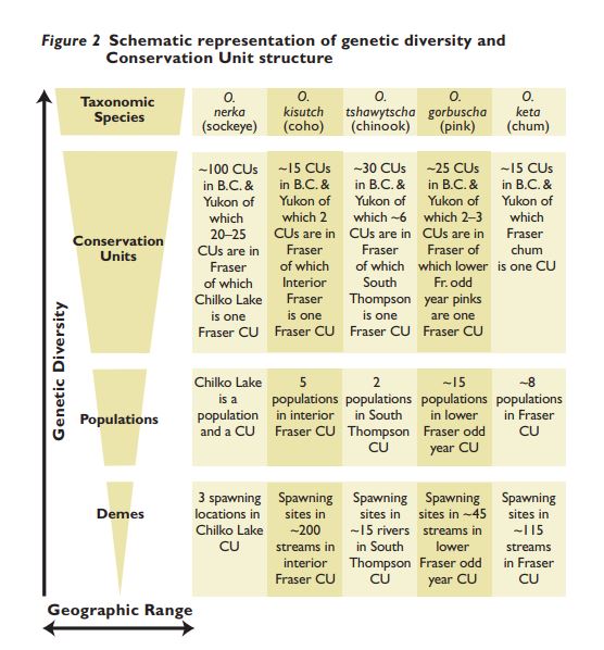 Schematic representation of genetic diversity and Conservation Unit structure