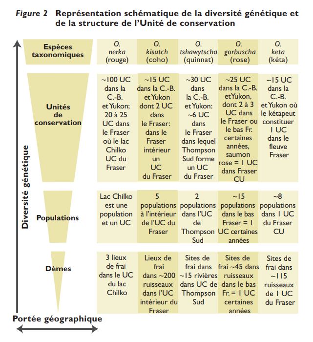 Représentation schématique de la diversité génétique et de la structure de l’Unité de conservation
