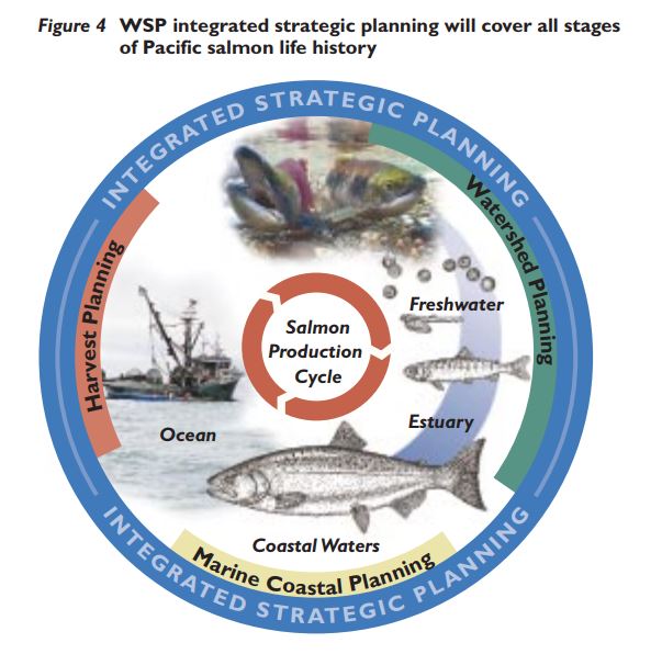 WSP integrated strategic planning will cover all stages
		of Pacific salmon life history