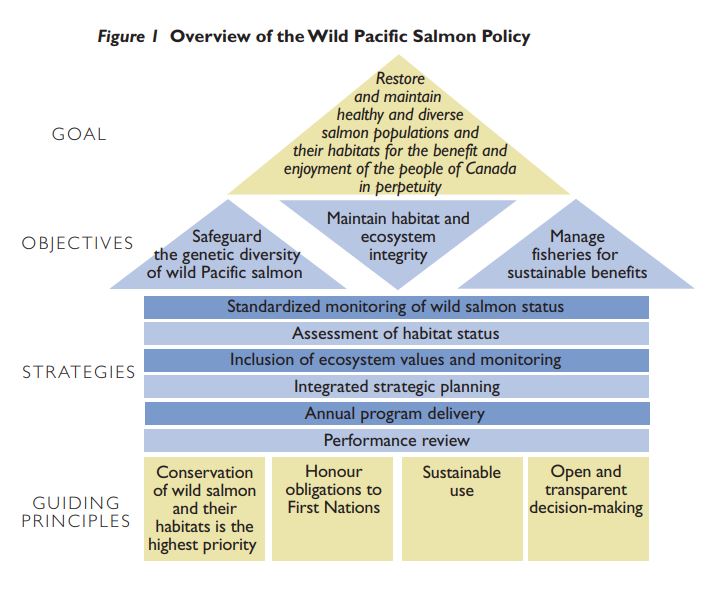 Overview of the Wild Salmon Policy