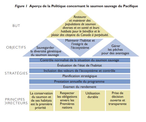 Aperçu de la Politique concernant le saumon sauvage du Pacifique