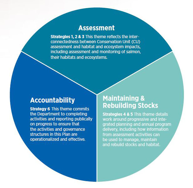 Photo: Pie chart