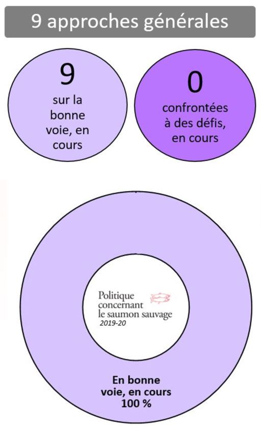 Overarching Approaches