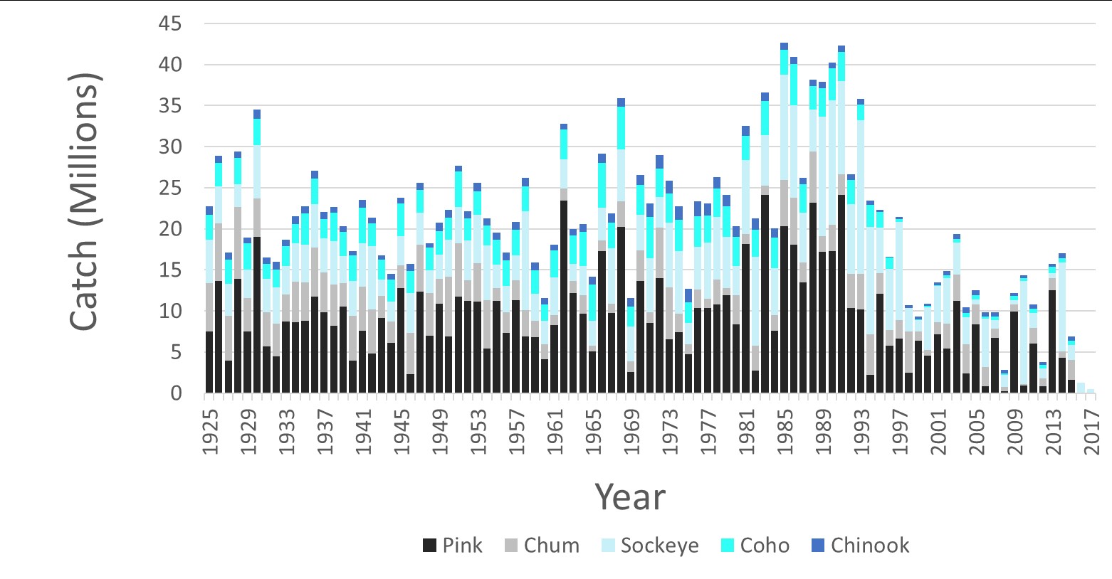 graph showing commerical catch of Canadian Pink, Sockeye, Coho and Chinook Salmon
