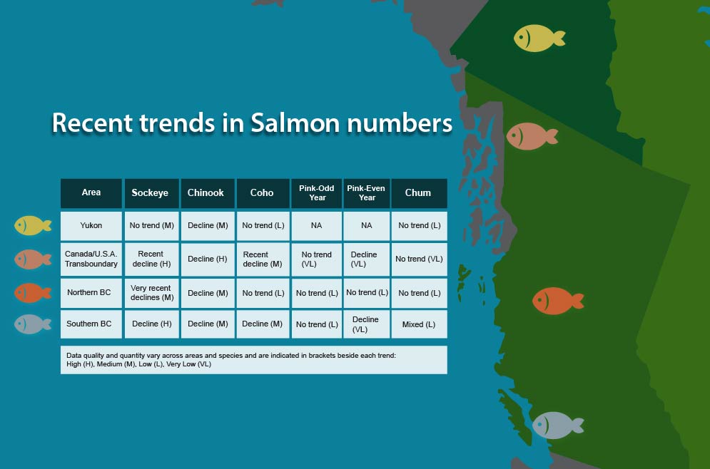 table showing recent trends in salmon numbers