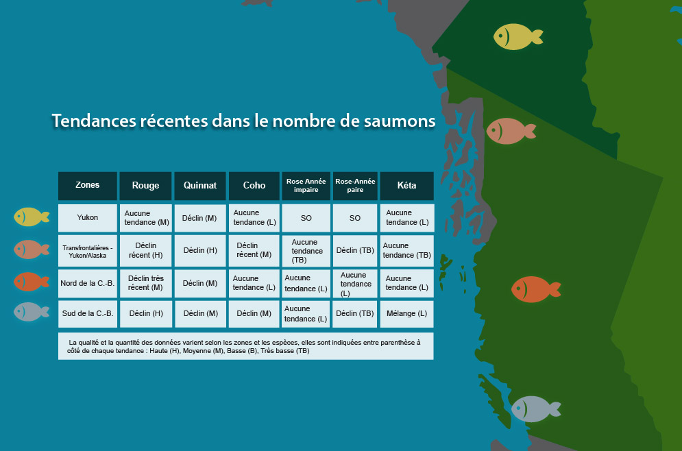 Tendances récentes dans le nombre de saumons du Pacifique