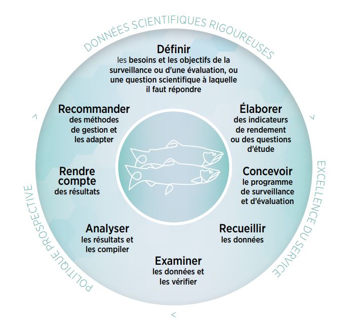 Photo: Chart graphic on science, policy and service