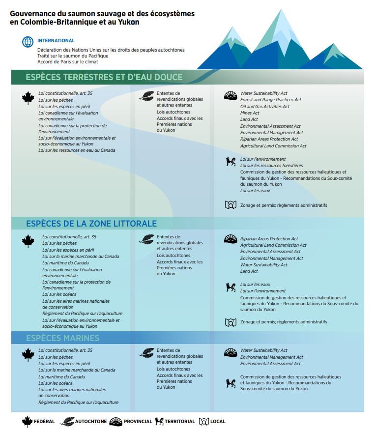 Photo: Gouvernance du saumon sauvage et des écosystèmes en Colombie-Britannique et au Yukon