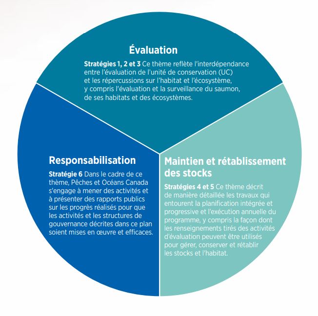 Photo: Diagramme en pointe de tarte