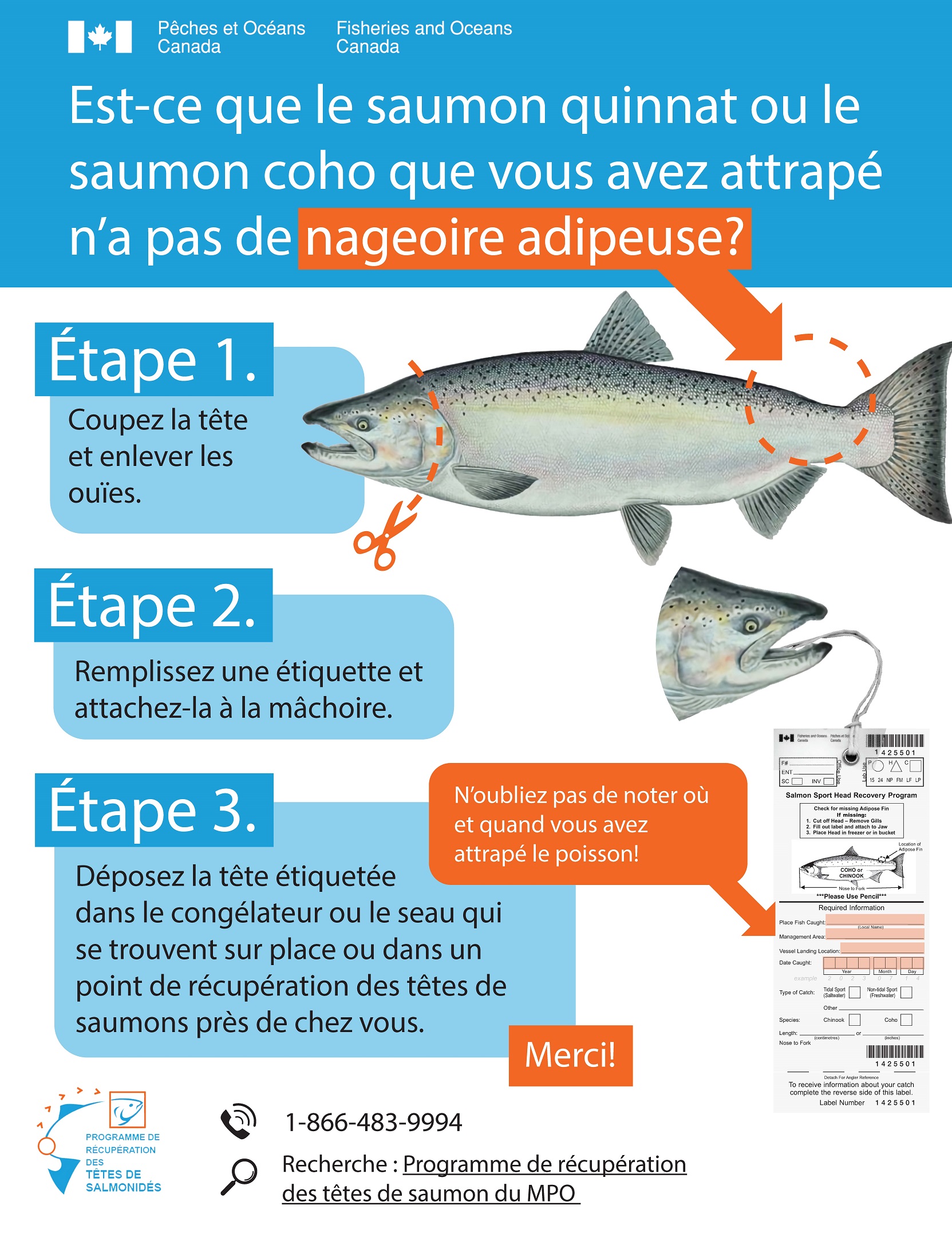 Infographie : Programme de récupération des têtes de salmonidés