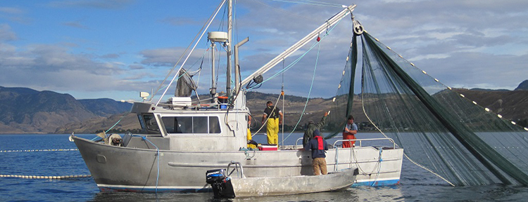 Indigenous fishing vessel